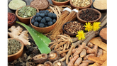 Adaptogens 101: Natural Stress Relief for Yoga & Pilates